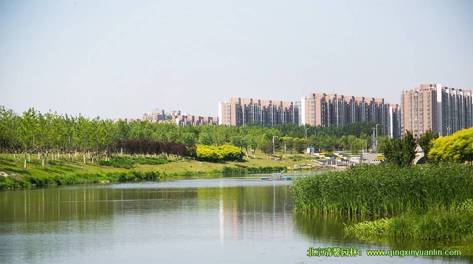 公園景觀設(shè)計(jì) 度假村景觀設(shè)計(jì)